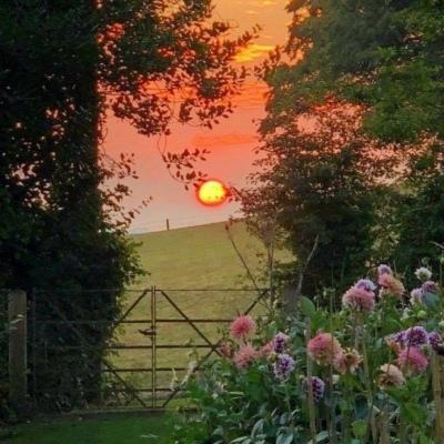 双赢彩票下载手机版