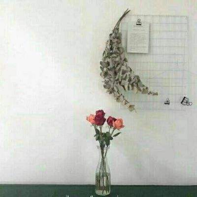 博鱼综合体育官网登录