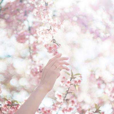 B体育登录APP下载